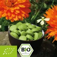 Bio Gerstengras Tabletten