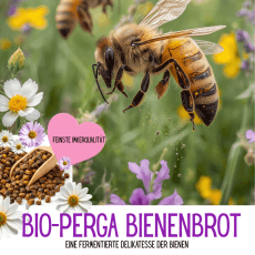 Bienenbrot aus biologischer Imkerei