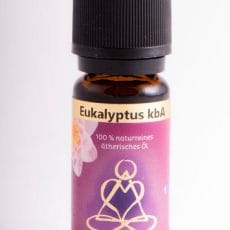 Holy Scentc Eukalyptusöl Bio
