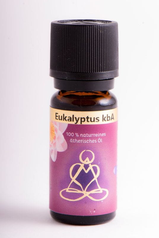 Holy Scentc Eukalyptusöl Bio