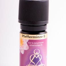 Holy Scentc Pfefferminze Bio